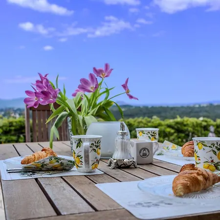 Vakantiehuis Provenzalisches Citronniers - Garten Mit Meerblick Und Pool By Riviera Homelife Saint-Raphaël